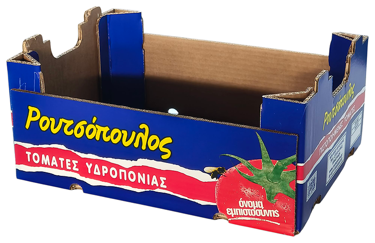 Χαρτοτελάρο Easy Pack 05